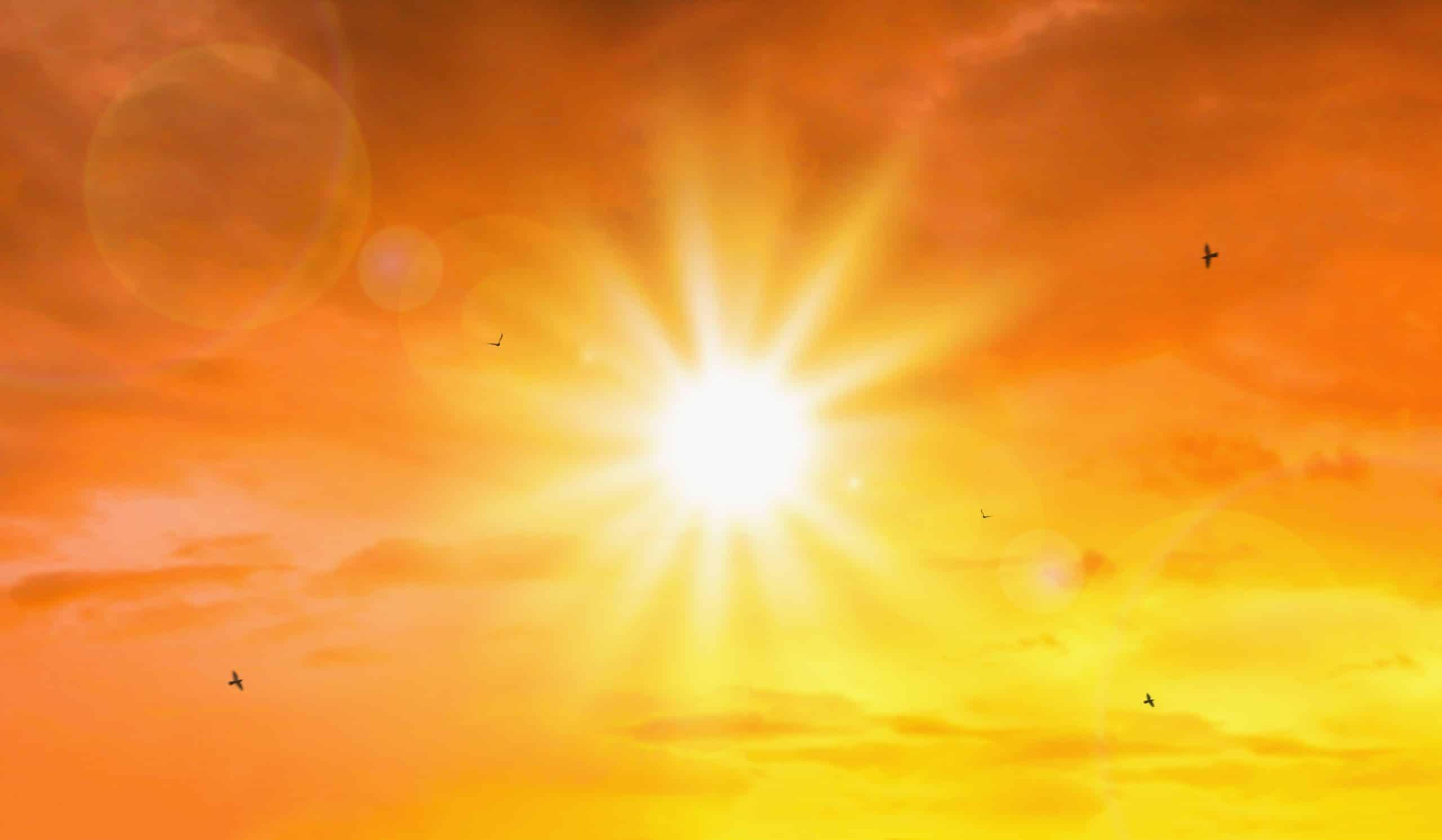 Bright sun in orange sky with birds flying